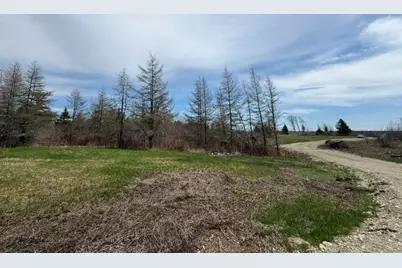 Lot 4 Holmes Bay Farms Road, Whiting, ME 04691 - Photo 1
