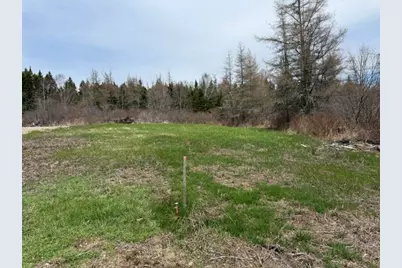 Lot 4 Holmes Bay Farms Road, Whiting, ME 04691 - Photo 4