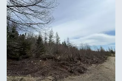 Lot 4 Holmes Bay Farms Road, Whiting, ME 04691 - Photo 6