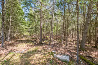 14 Jameson Drive, Bridgton, ME 04009 - Photo 46