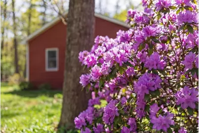43 Holmes Road, Winthrop, ME 04364 - Photo 68