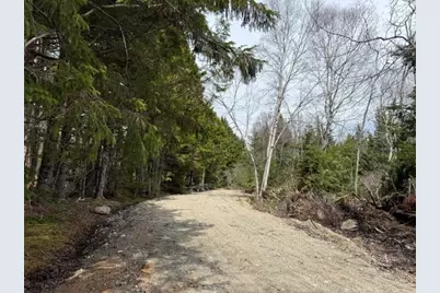 Lot 6 Holmes Bay Farms Road, Whiting, ME 04691 - Photo 6