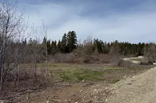 Lot 5 Holmes Bay Farms Rd, Whiting, ME 04691 - Photo 1