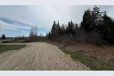 Lot 5 Holmes Bay Farms Road, Whiting, ME 04691 - Photo 12