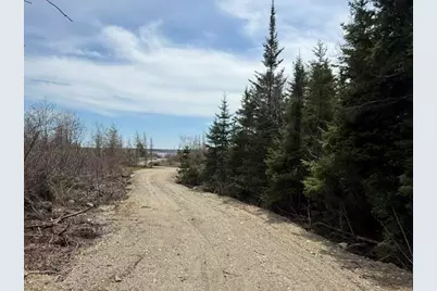 Lot 5 Holmes Bay Farms Road, Whiting, ME 04691 - Photo 6