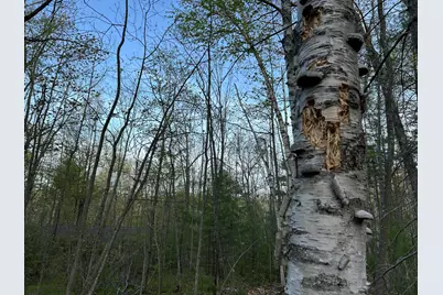 M46,L19,23 River Road, Bucksport, ME 04416 - Photo 12