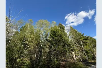 Lot 13 Pidgeon Point Road, Whiting, ME 04691 - Photo 2