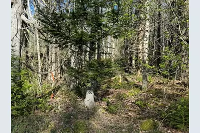 Lot 13 Pidgeon Point Road, Whiting, ME 04691 - Photo 8