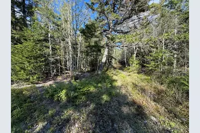 Lot 13 Pidgeon Point Road, Whiting, ME 04691 - Photo 10