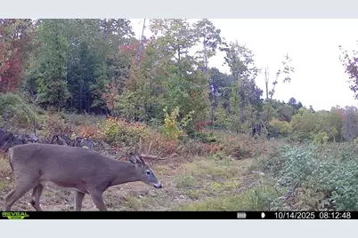 Map7Lot9 Wm Livermore Road, Fayette, ME 04349 - Photo 2