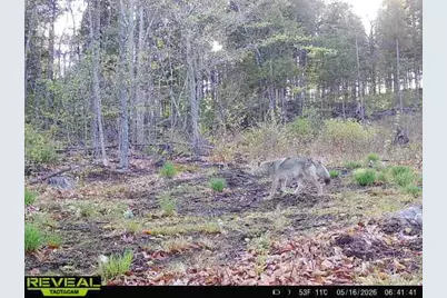 Map7Lot9 Wm Livermore Road, Fayette, ME 04349 - Photo 6