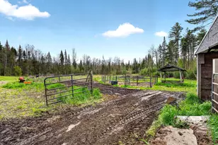 659 Hartland Rd, Canaan, ME 04924 - Photo 52