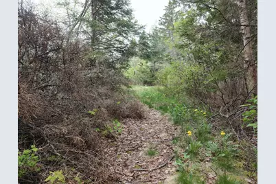 L 3,4,5,11 Sunrise Shores Drive, Perry, ME 04667 - Photo 20