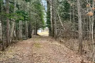 234 Walker Brook Rd, Allagash, ME 04774 - Photo 42