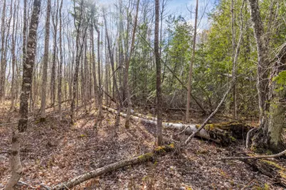 Lot 45-2 Pinewoods Trail, Oakland, ME 04963 - Photo 34