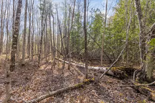 Lot 45-2 Pinewoods Trail, Oakland, ME 04963 - Photo 34