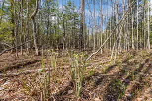 Lot 45-2 Pinewoods Trail, Oakland, ME 04963 - Photo 30
