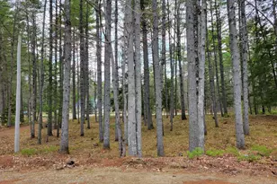 981 Denmark Rd, Denmark, ME 04022 - Photo 6