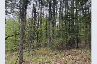 Lot 13-B2 South Town Farm Road, Oxford, ME 04270 - Photo 14