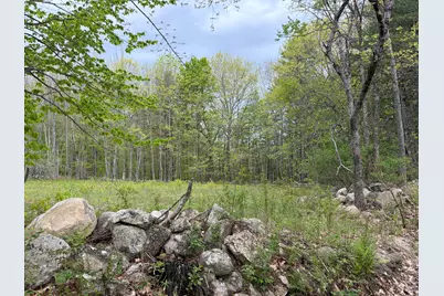 Lot 13-B2 South Town Farm Road, Oxford, ME 04270 - Photo 4