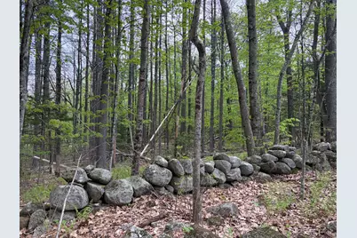 Lot 13-B2 South Town Farm Road, Oxford, ME 04270 - Photo 10