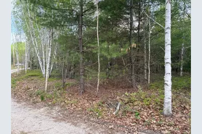 Lot #8 Thayer Road, Waltham, ME 04605 - Photo 4