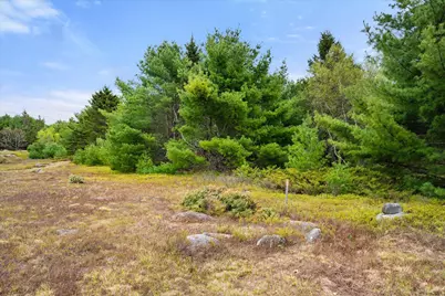 Map 6 Lot 31C Cedar Swamp Road, Orland, ME 04472 - Photo 10