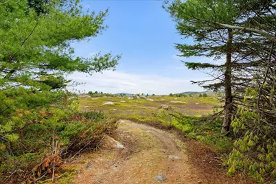 Map 6 Lot 31C Cedar Swamp Road, Orland, ME 04472 - Photo 8