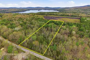 Map 6 Lot 31C Cedar Swamp Rd, Orland, ME 04472 - Photo 1