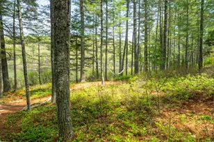 40 Lakeside Dr, Swanville, ME 04915 - Photo 46