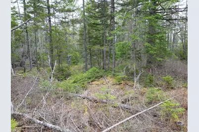 1323 Deer Haven, Wesley, ME 04686 - Photo 8