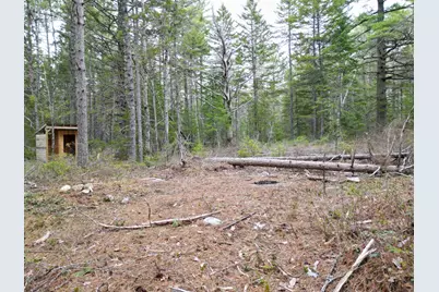 1323 Deer Haven, Wesley, ME 04686 - Photo 6