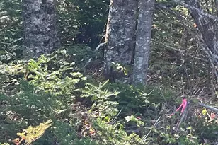 Lot 14 West Bay Rd, Gouldsboro, ME 04607 - Photo 1