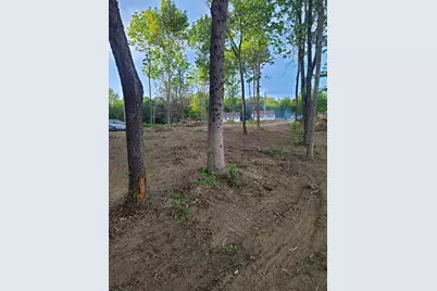 Lot 46 Birch Lane, Searsport, ME 04974 - Photo 8