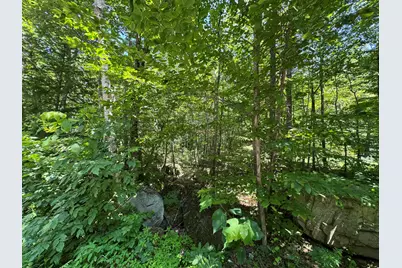 Lot 19 Thomas Pond Shore Road, Casco, ME 04015 - Photo 6
