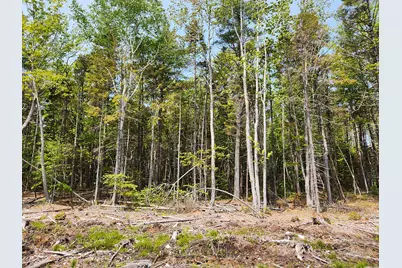 Lot 2 Woodland Drive, Kennebunkport, ME 04046 - Photo 4