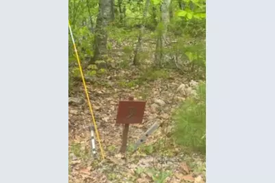 Lot 9 McDaniels Road, Waterford, ME 04088 - Photo 4