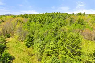 0 Brookside Rd, Orland, ME 04472 - Photo 1