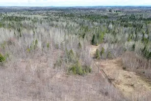 1063 Ludlow Rd, Ludlow, ME 04730 - Photo 1