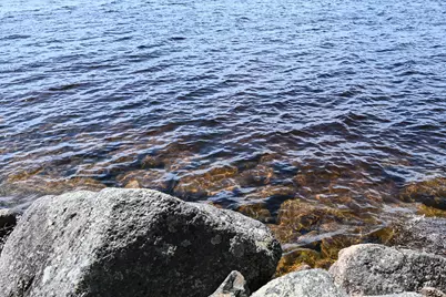 101 Loon Drive, Sullivan, ME 04664 - Photo 24