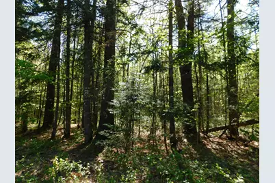 Po M20 L25 4 Mile Square Road, Anson, ME 04911 - Photo 8
