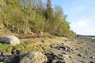 305 Bay View Dr, Bar Harbor, ME 04609 - Photo 42