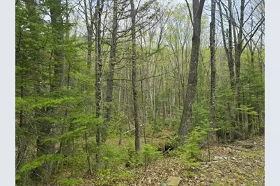 950 School Street, Perkins Twp, ME 04294 - Photo 46