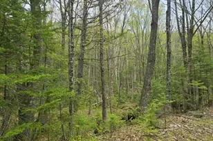 950 School St, Perkins Twp, ME 04294 - Photo 46