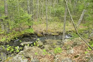 950 School St, Perkins Twp, ME 04294 - Photo 38
