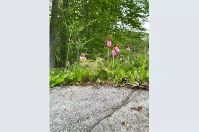 9 Fallen Oak Drive, Alfred, ME 04002 - Photo 118