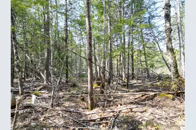 Lot 2 Off Mattamiscontis Road, Howland, ME 04448 - Photo 4