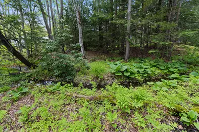 37 Thompson Street, Brunswick, ME 04011 - Photo 46