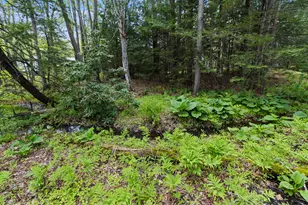 37 Thompson St, Brunswick, ME 04011 - Photo 46