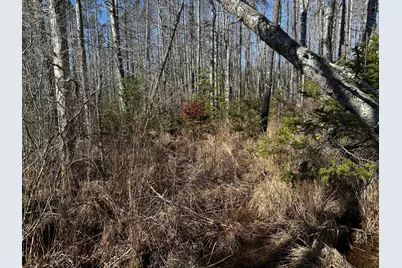 365 Cushing Road, Cushing, ME 04563 - Photo 28